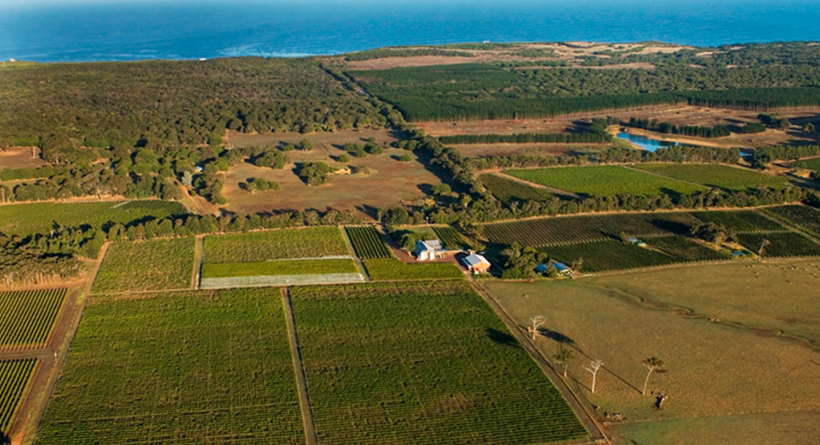 Cullen Wines estate overview
